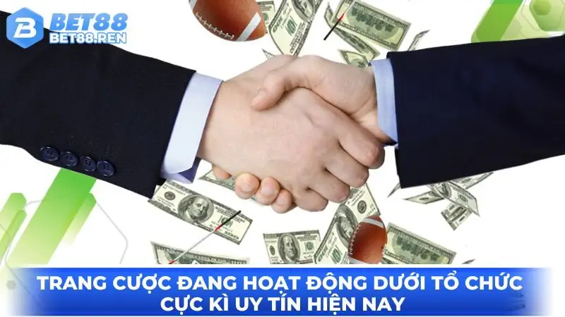 Trang cược đang hoạt động dưới tổ chức cực kì uy tín hiện nay
