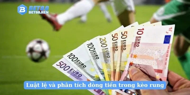 Luật lệ và phân tích dòng tiền trong kèo rung