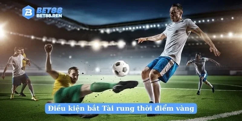 Điều kiện bắt Tài rung thời điểm vàng