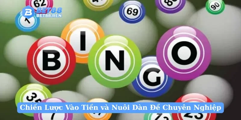 Chiến lược vào tiền và nuôi dàn đề chuyên nghiệp