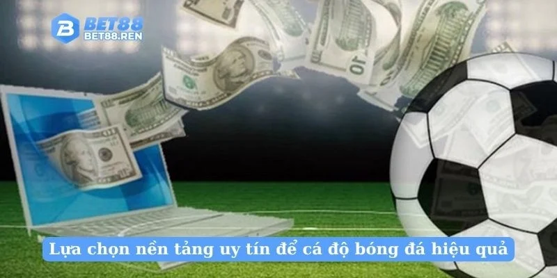 Lựa chọn nền tảng uy tín để cá độ bóng đá hiệu quả