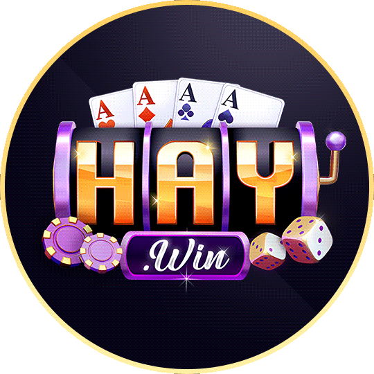 logo haywin