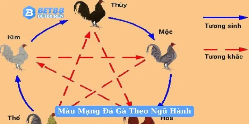 Màu Mạng Đá Gà Theo Ngũ Hành: Bảng Tra Cứu Chuẩn 2025