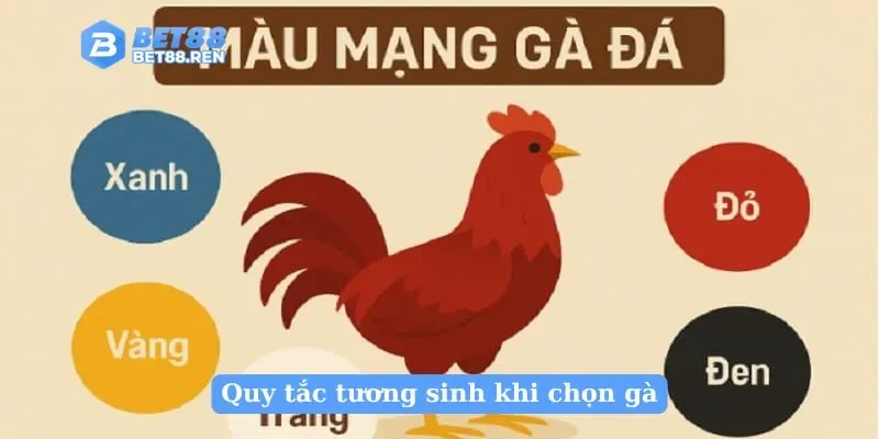 Quy tắc tương sinh khi chọn gà