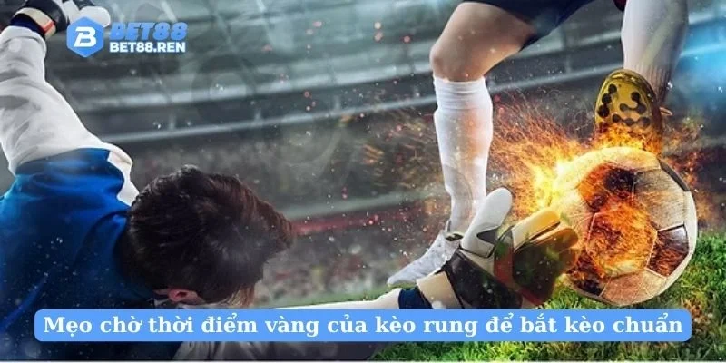 Mẹo chờ thời điểm vàng của kèo rung để bắt kèo chuẩn