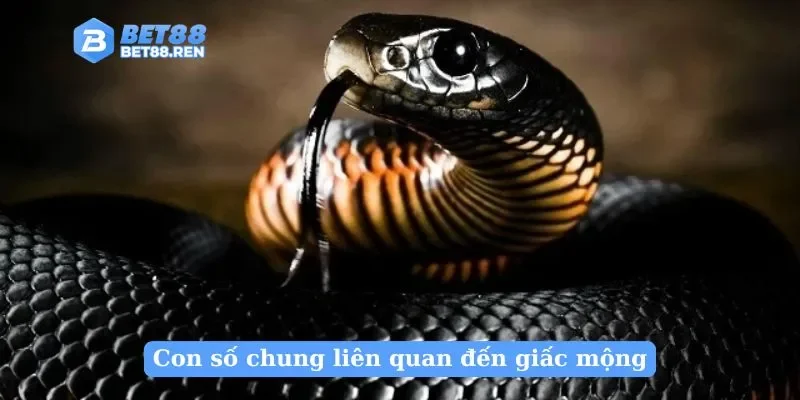 Con số chung liên quan đến giấc mộng