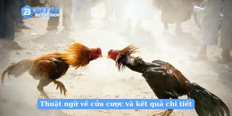 Thuật ngữ về cửa cược và kết quả chi tiết