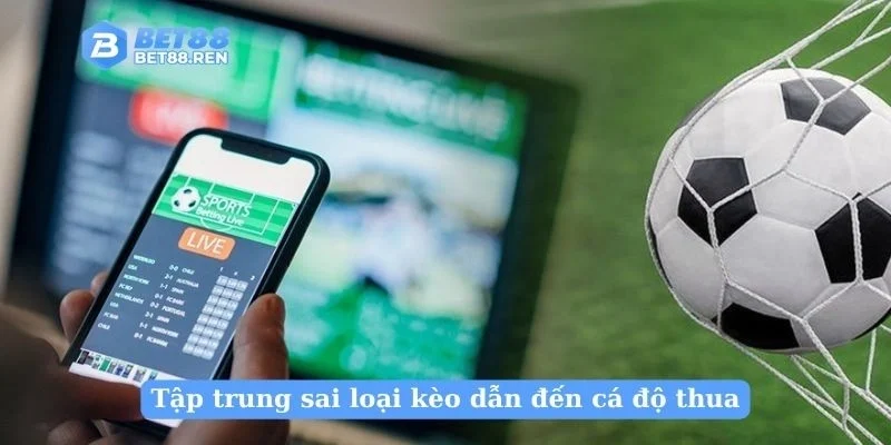 Tập trung sai loại kèo dẫn đến cá độ thua